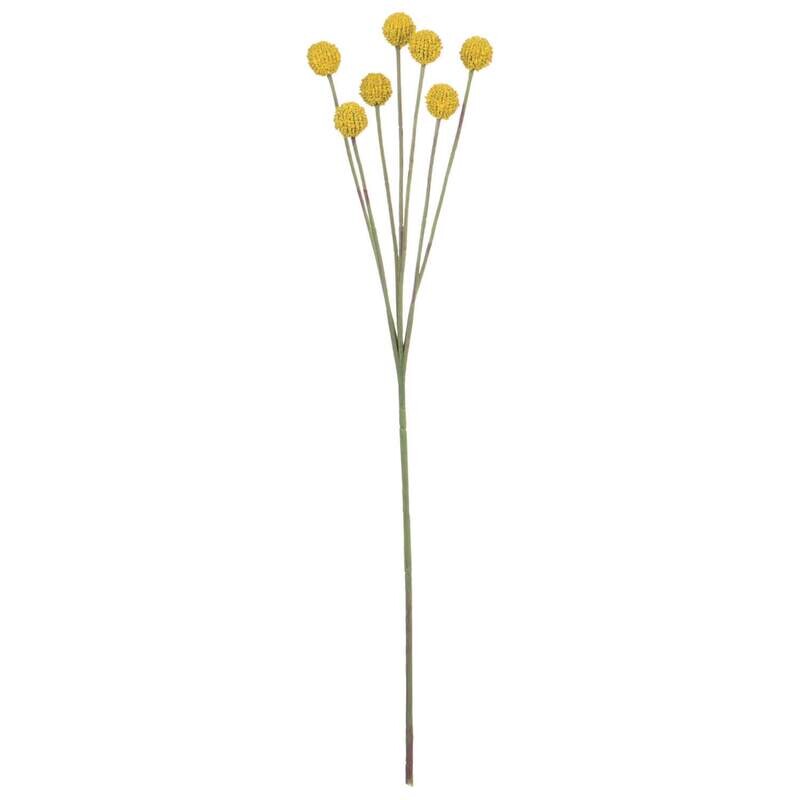 Stem Billy Button Yellow
