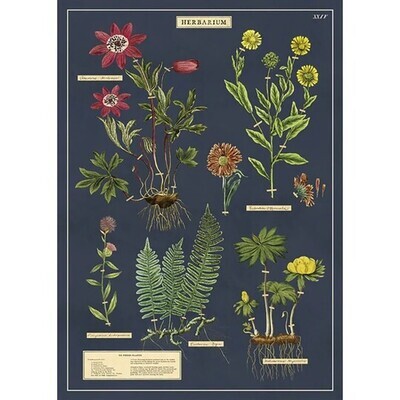 Vertical Poster Herbarium