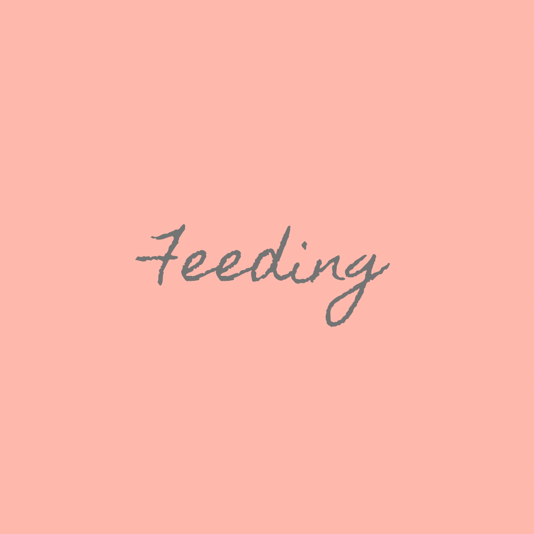 Feeding