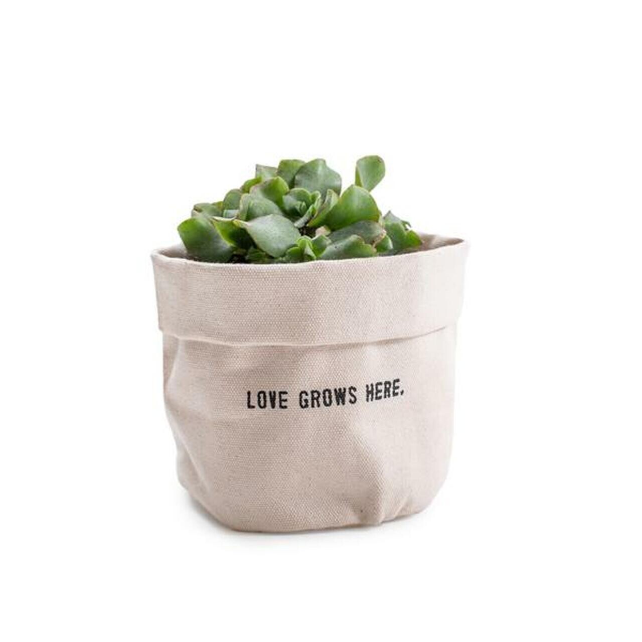 Canvas Planter Love Grows Here - Small