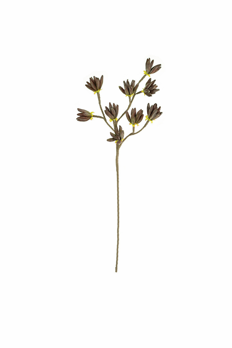 Botanica Brown Stem With Green And Violet Tip Flowers