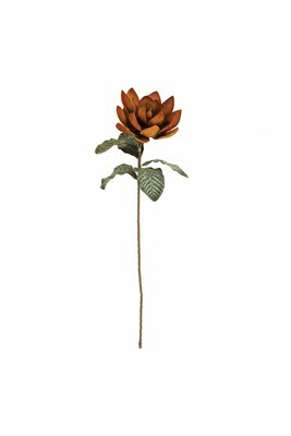 Botanica Brown Stem With Green Leaves And Sunset Flower