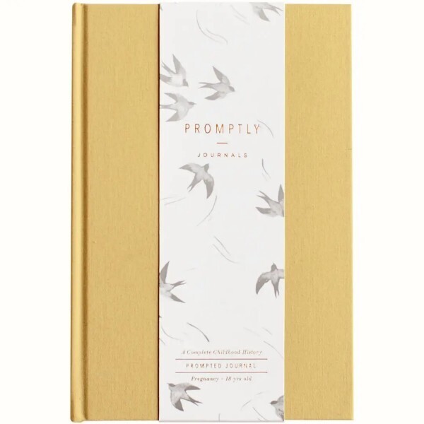 Childhood History Journal In Ochre