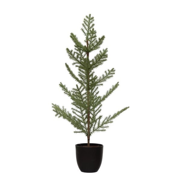 Redwood Tree In Plastic Pot 13-3/4&quot; X 20-1/2&quot; Final Sale