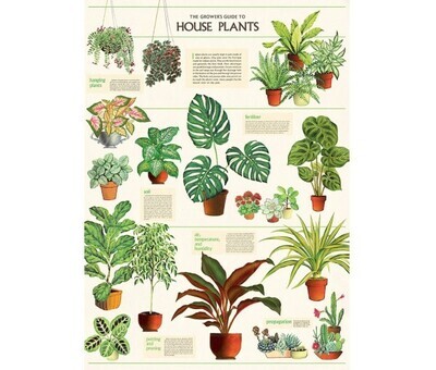 Vertical Poster House Plants