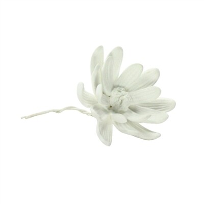 Bone China Curled Magnolia Flower In White