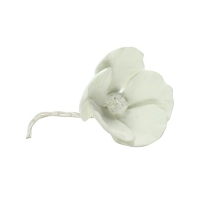 Bone China Dogwood Flower In White