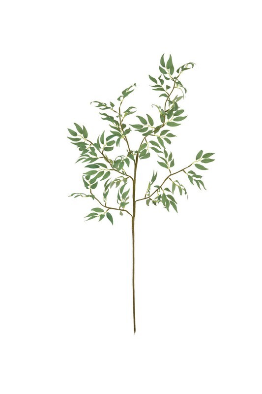 Brown Stem Botanical with Many Green Leaves