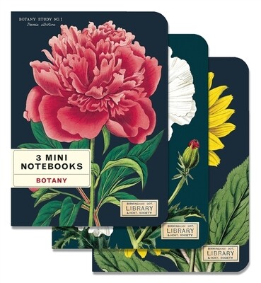 Set Of 3 Mini Notebooks Botany