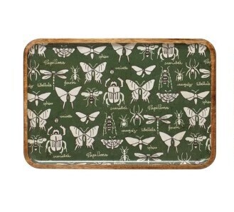Wood Tray With Different Insects Large