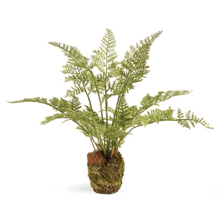 Soft Fern Drop-in