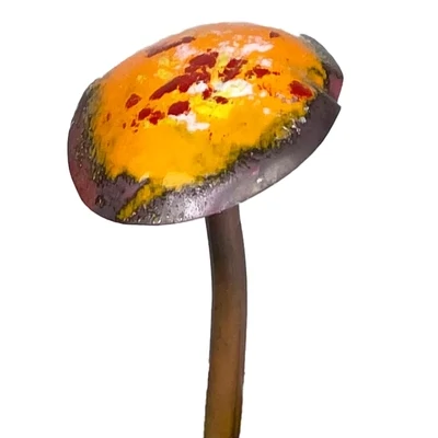 Copper Enamel Mushroom Orange