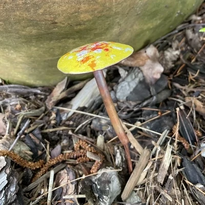Copper Enamel Mushroom Yellow
