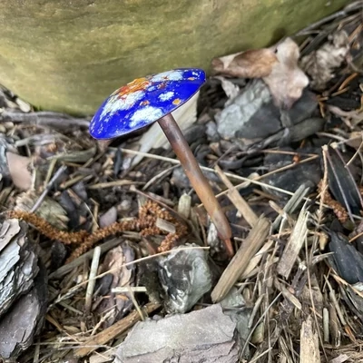 Copper Enamel Mushroom Blue