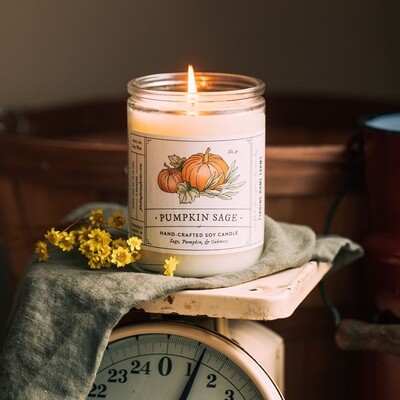 Finding Home Farms Candle Pumpkin Sage 11 Oz