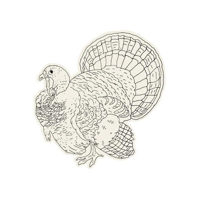 Placemat Coloring Turkey