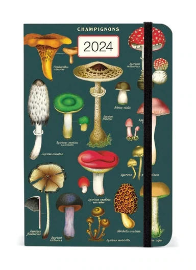 Weekly Planner Mushrooms 2024