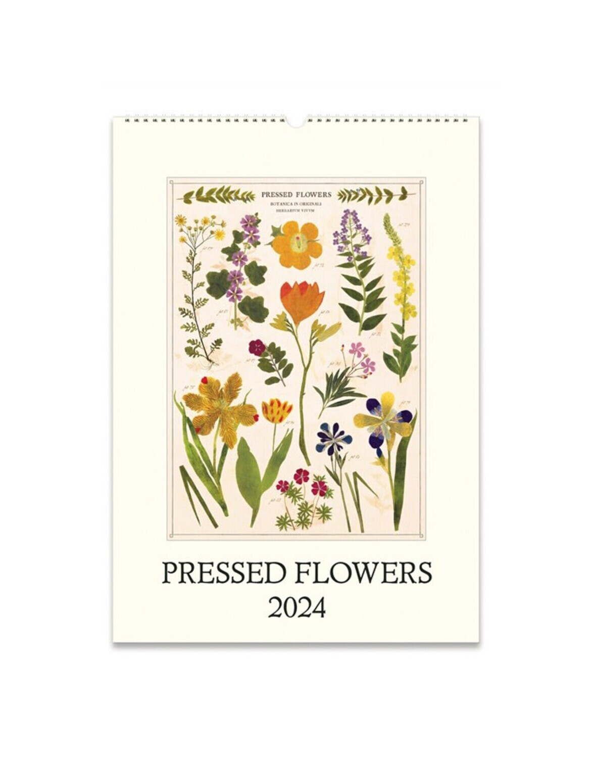 Wall Calendar Pressed Flowers 2024