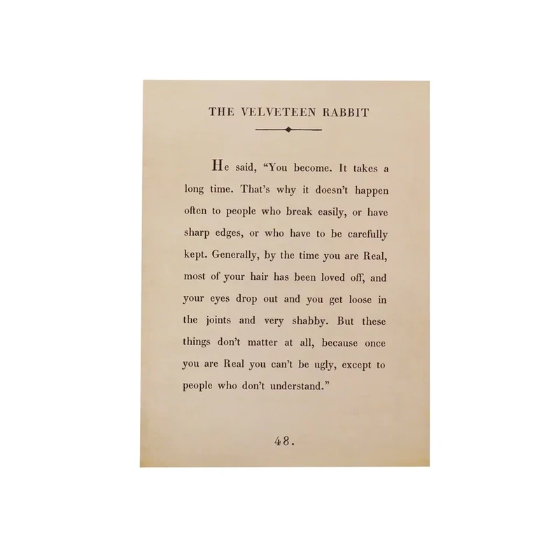 Art Poster Book Collection The Velveteen Rabbit 12&quot;x16&quot; Cream