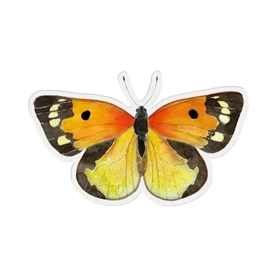 Felix Doolittle Vinyl Sticker Zerene Butterfly