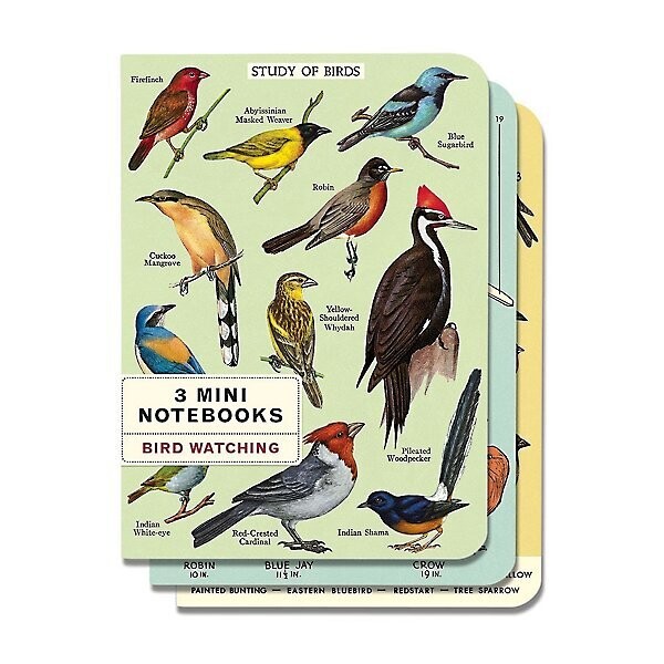 Set Of 3 Mini Notebooks Bird Watching