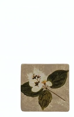 Square Stoneware Trivet Tan With White And Green Debossed Florals