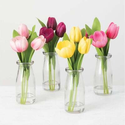 Tulips In Clear Vase Wine Red