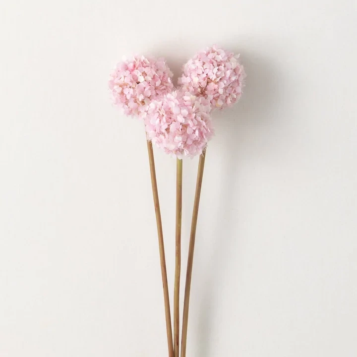 Allium Bunch Of 3 Pink 22&quot;