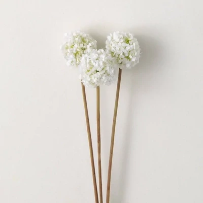 Allium Bunch Of 3 White 22"