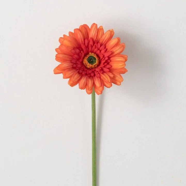 Gerbera Stem Scarlet 25&quot; Final Sale