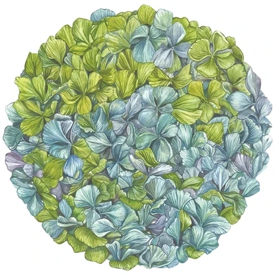 Placemats Hydrangea