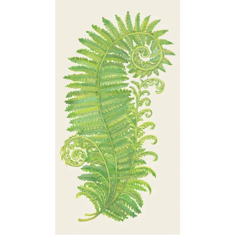 Guest Napkins Fern Pack Of 16