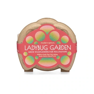 Curious Critters Ladybug Garden Activity Kit