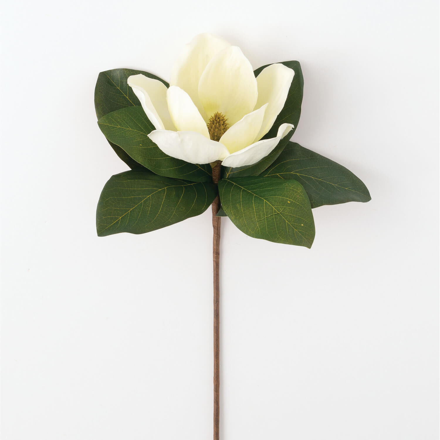 Magnolia Stem 13&quot; L x 11&quot; W x 18.5&quot; H