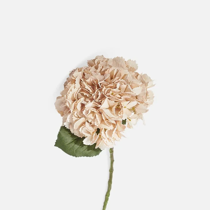 Hydrangea Stem In Vanilla