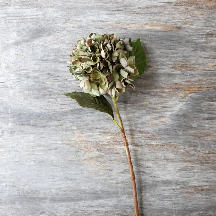 Hydrangea Chloris Stem In Greens