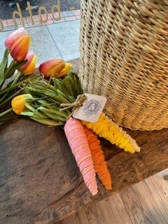 Carrots Natural Assorted Colors Set Of 4