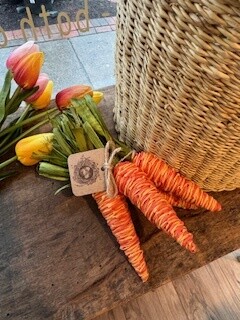 Carrots Natural Orange Set Of 4