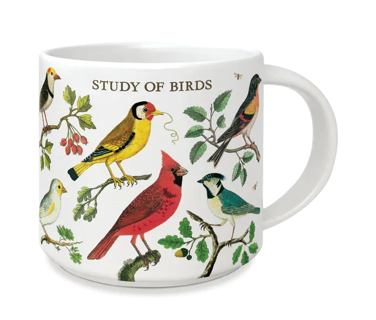 Study Of Birds Vintage Mug 14 fl oz