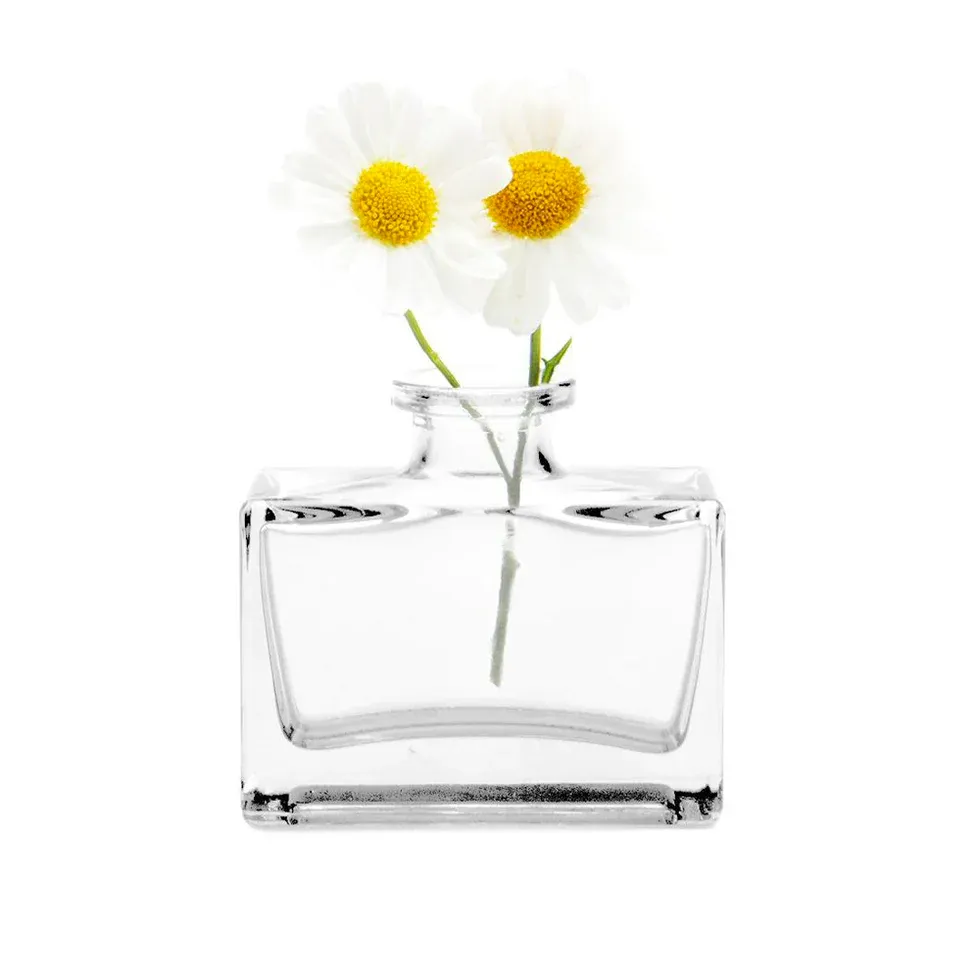 Rectangle Clear Loft Vase