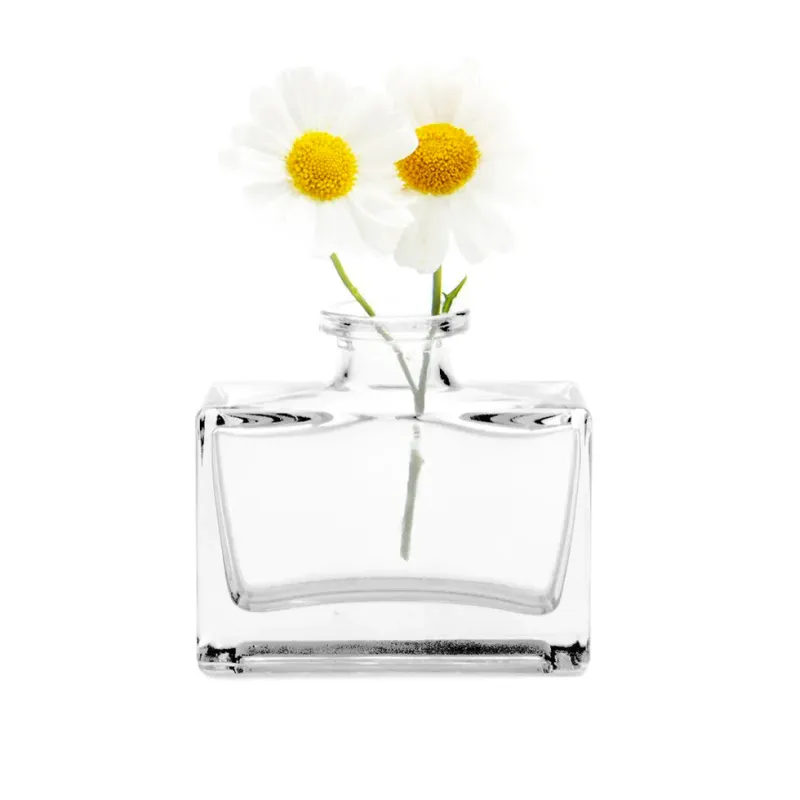 Rectangle Clear Loft Vase