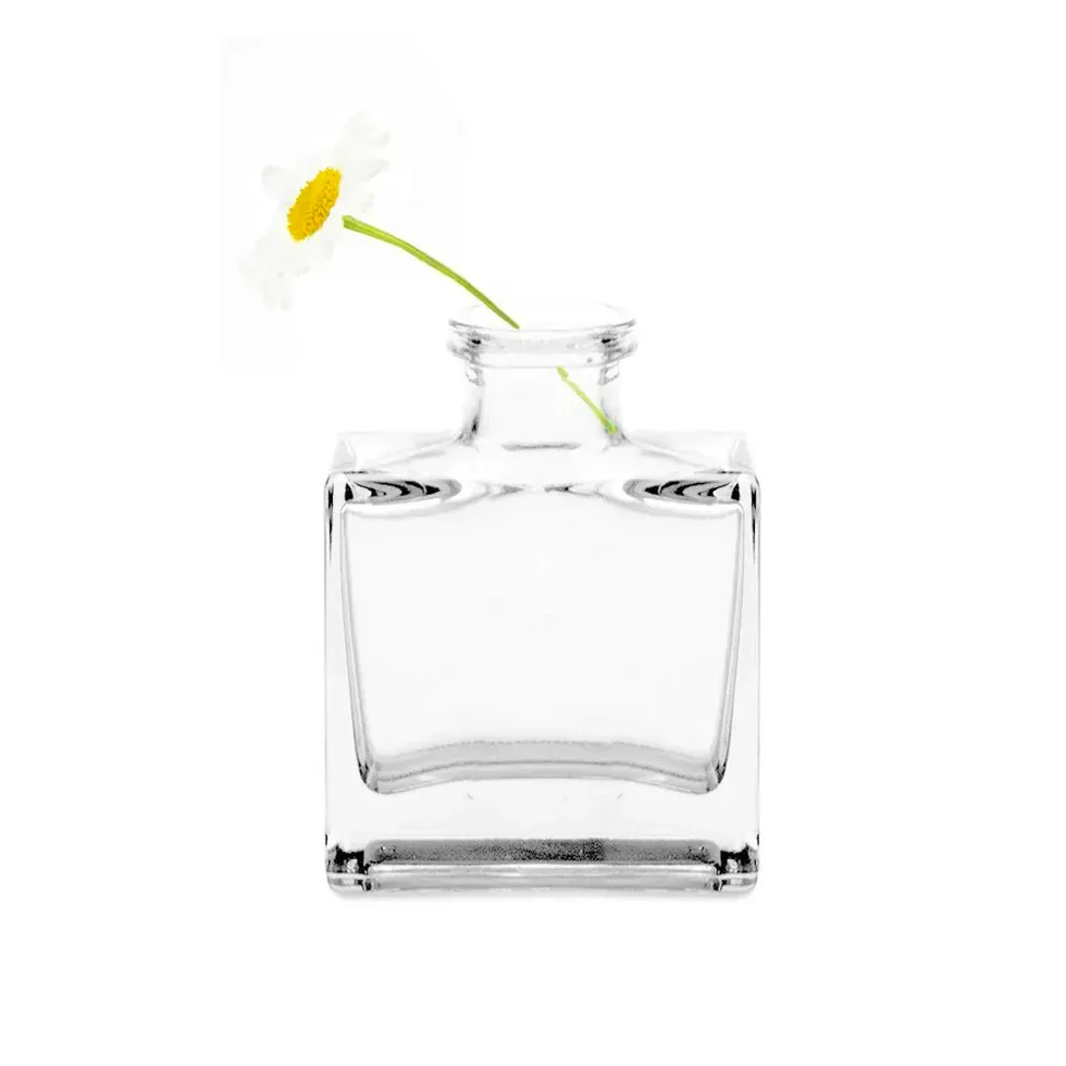 Square Bottle Clear Loft Vase