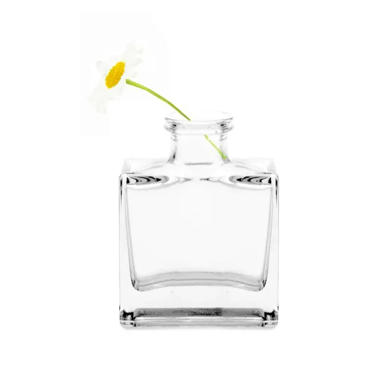 Square Bottle Clear Loft Vase
