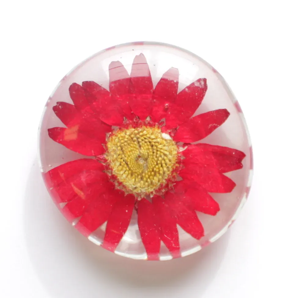 Real Pressed Flower Magnet Red