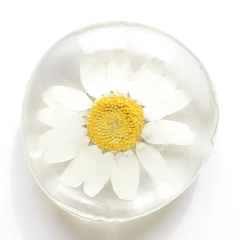 Real Pressed Flower Magnet White