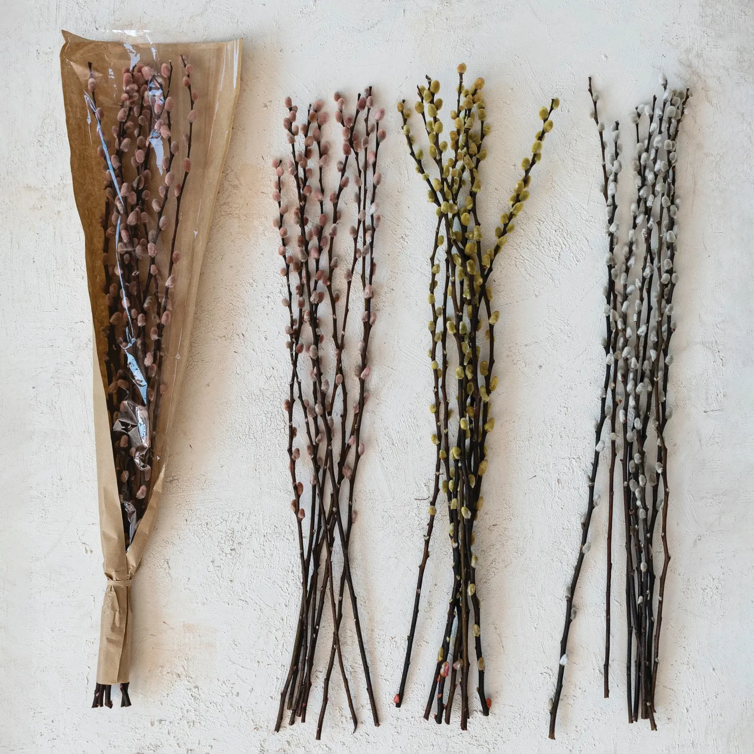 Dried Natural Willow Bunch White