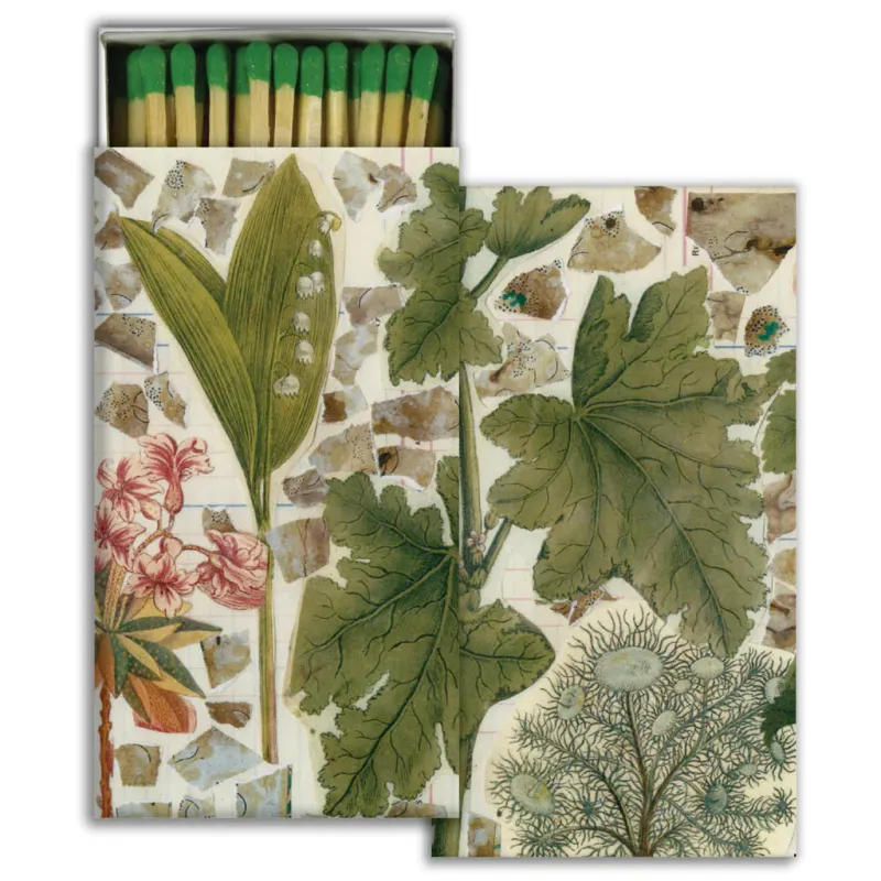 Matchbox Pack Lily Of The Valley