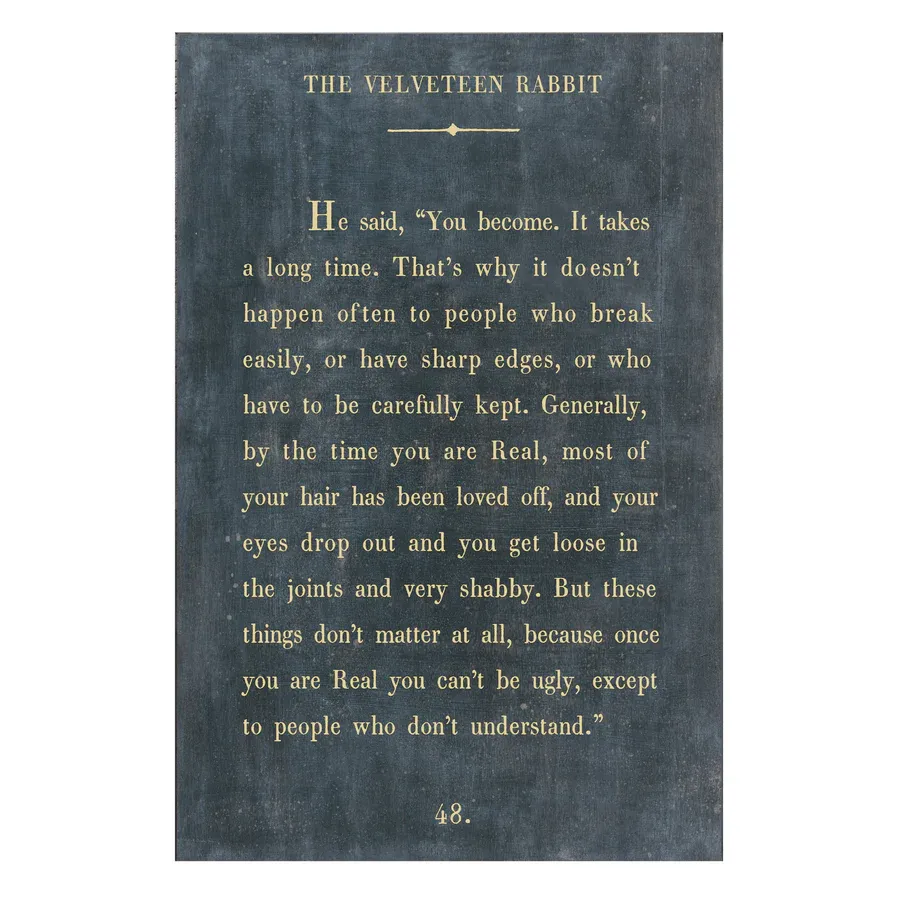 Art Poster Book Collection The Velveteen Rabbit 12&quot;x16&quot; Charcoal