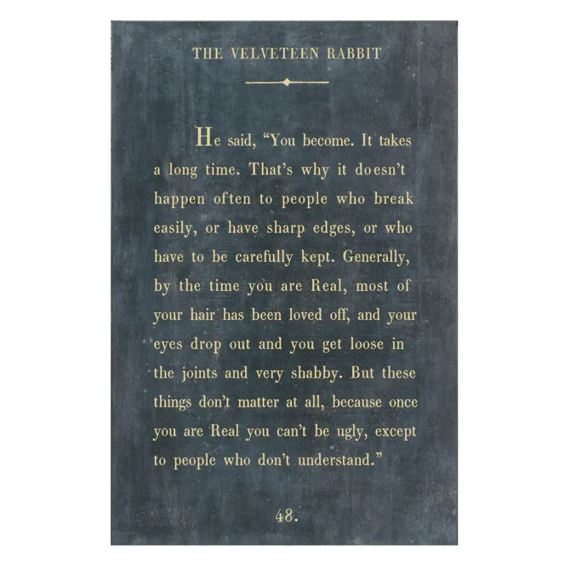 Art Poster Book Collection The Velveteen Rabbit 12&quot;x16&quot; Charcoal
