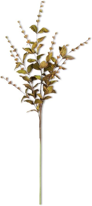 Brown European Beech Stem 35&quot;